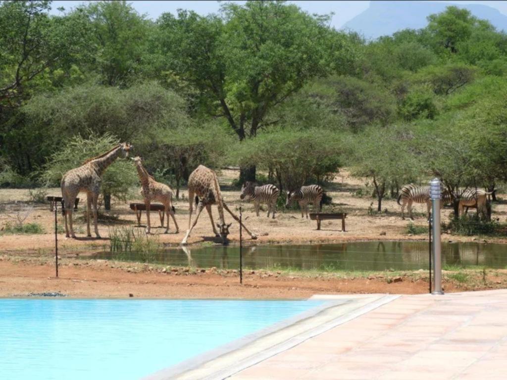 Thandolwami Bushlodge & Spa Hoedspruit Bagian luar foto