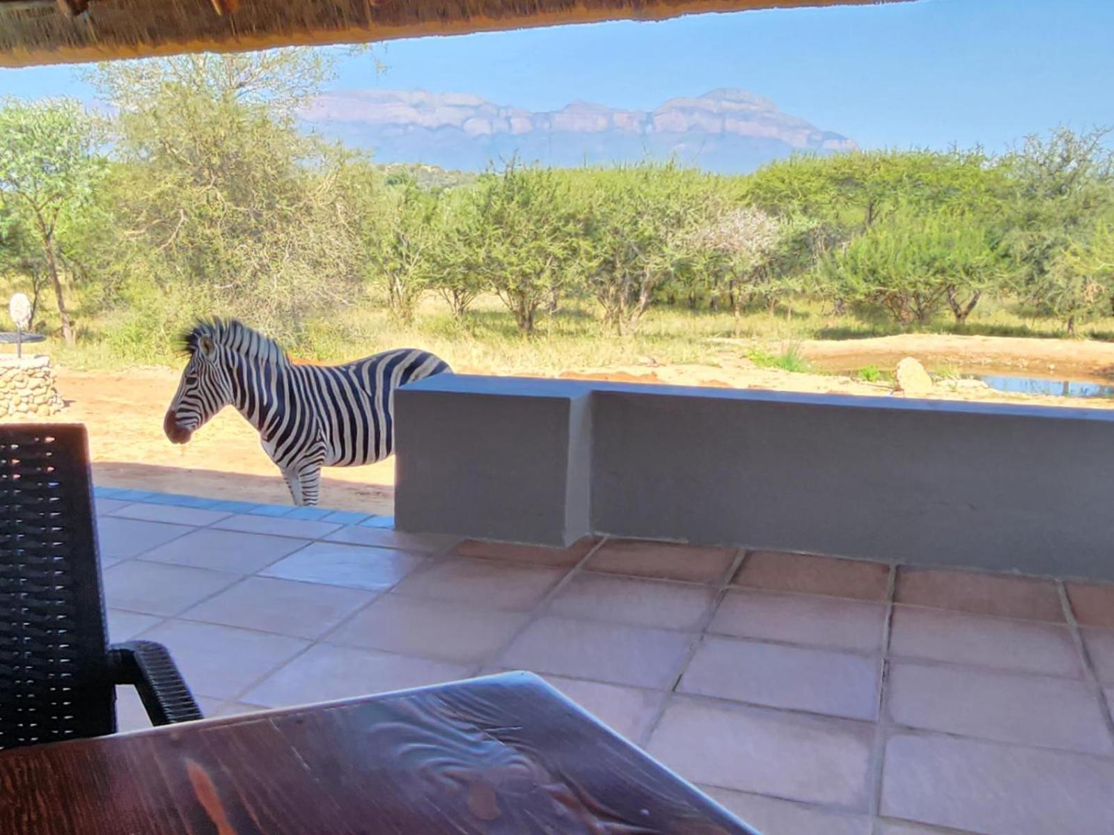 Thandolwami Bushlodge & Spa Hoedspruit Bagian luar foto