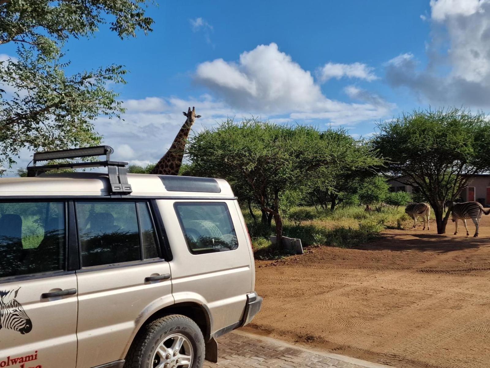 Thandolwami Bushlodge & Spa Hoedspruit Bagian luar foto