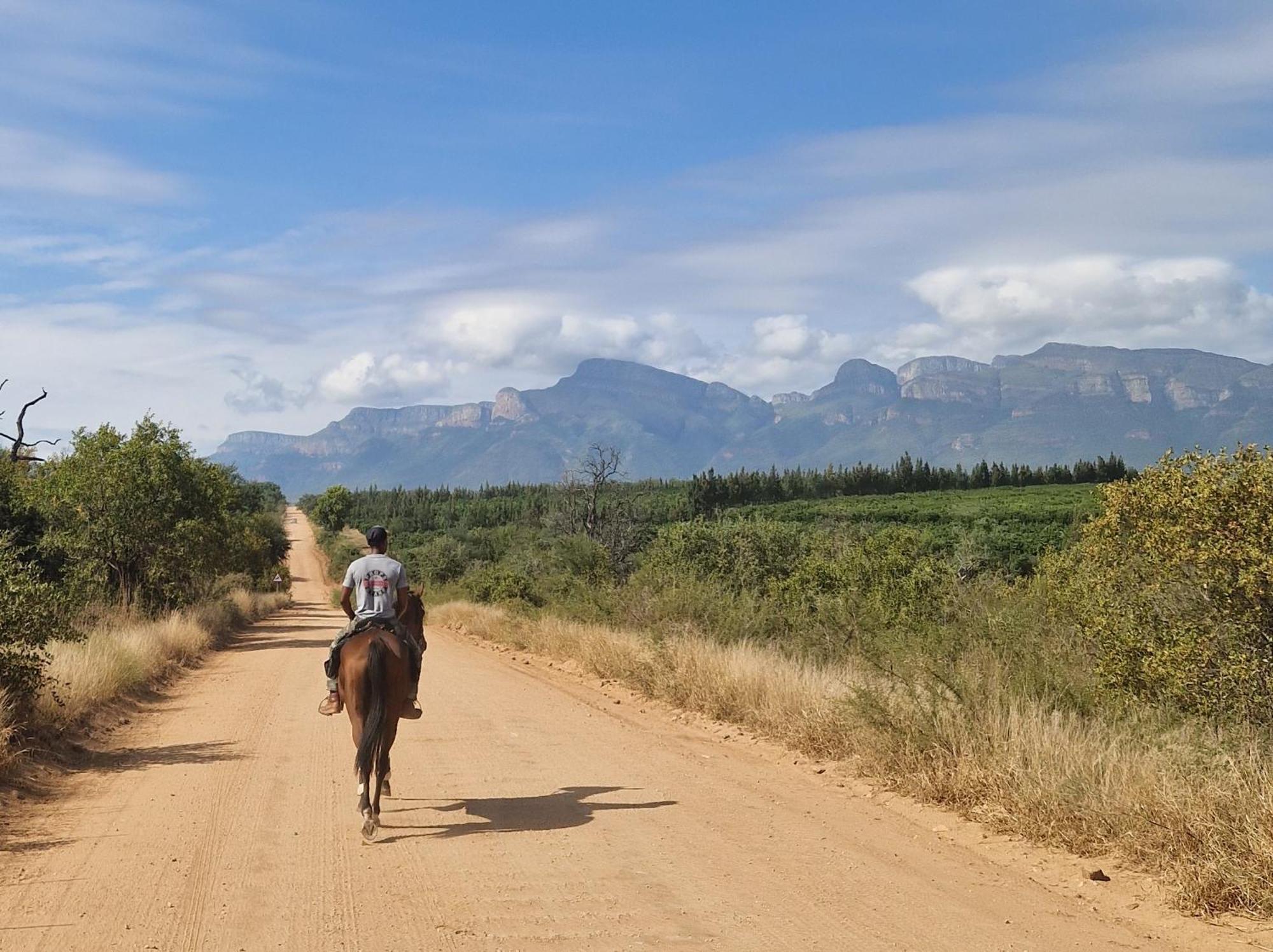 Thandolwami Bushlodge & Spa Hoedspruit Bagian luar foto